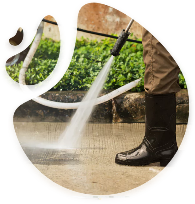 We Take Care of your Exterior Area